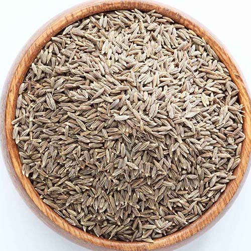 Jeera/Cumin Seeds/Cuminum Cyminum