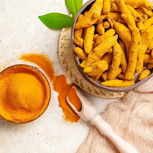 Haldi/Turmeric Finger/Curcuma longa