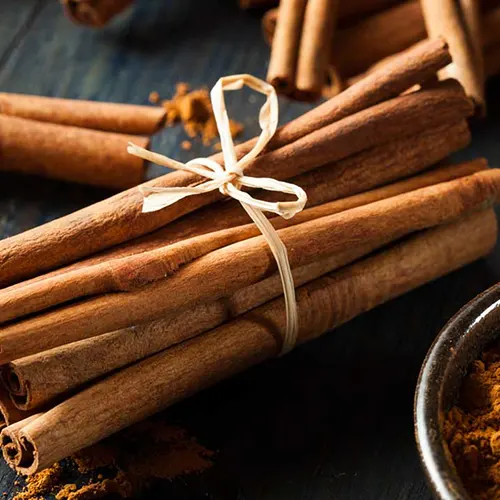 Dalchini/Cinnamon/Cinnamomum verum