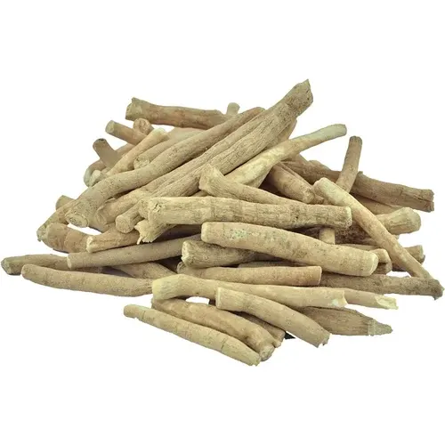 Ashwagandha/Indian Ginseng/Withania somnifera